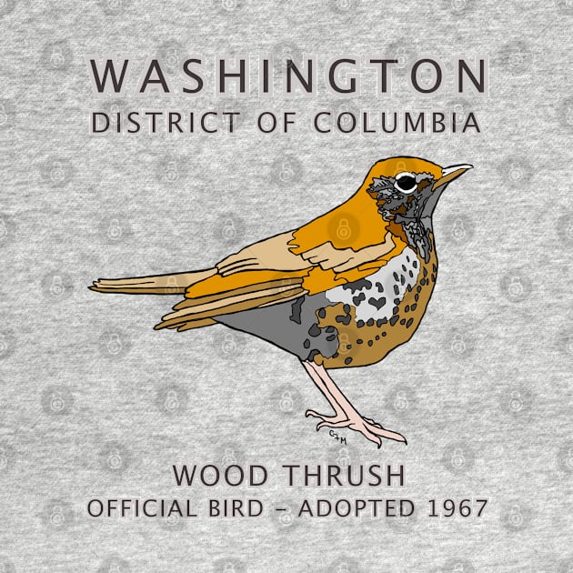 Washington, District of Columbia - state symbols - Wood Thrush by cfmacomber